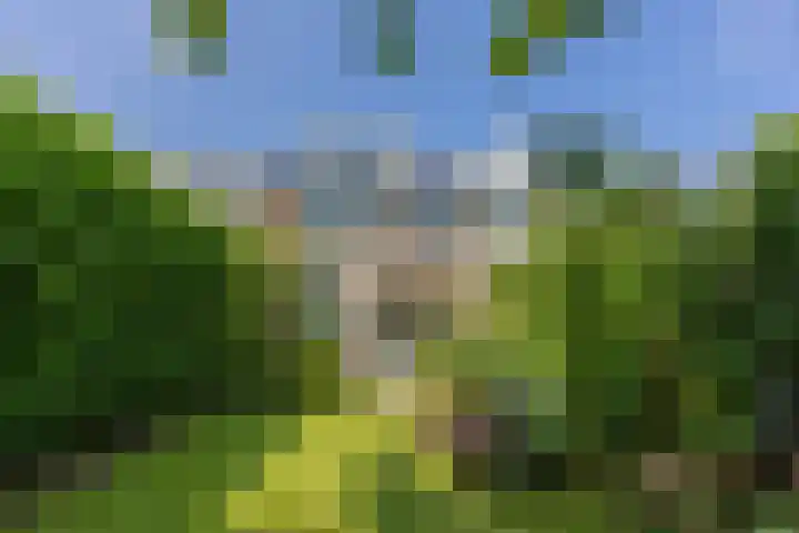 Blauwe Hof 7412 Wijchen thumbnail 28