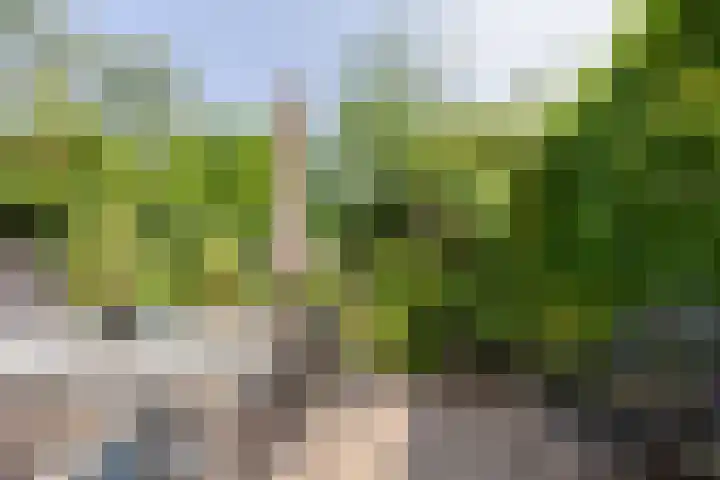 Blauwe Hof 7412 Wijchen thumbnail 29