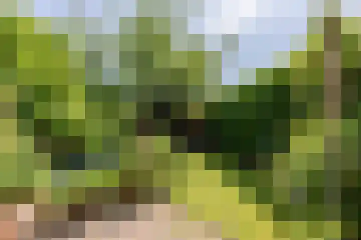 Blauwe Hof 7412 Wijchen thumbnail 30