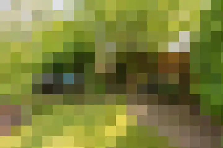Blauwe Hof 7412 Wijchen thumbnail 31