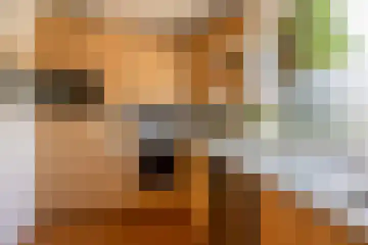 Blauwe Hof 7412 Wijchen thumbnail 8