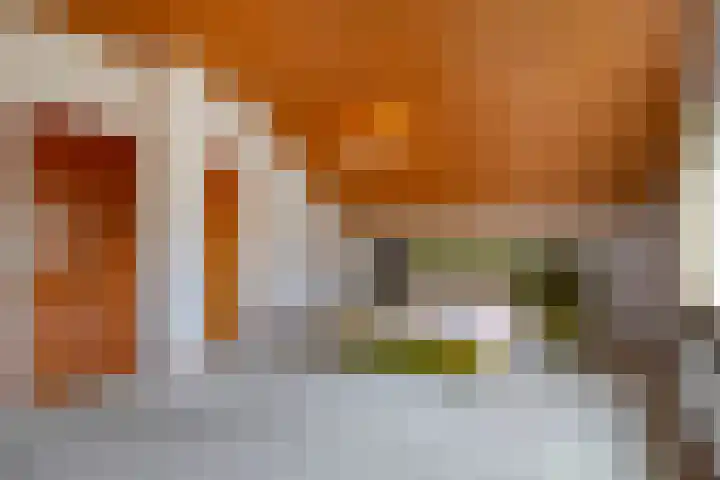 Blauwe Hof 7703 Wijchen thumbnail 19