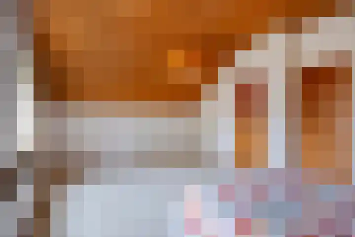 Blauwe Hof 7703 Wijchen thumbnail 20