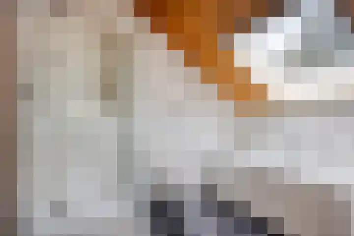 Blauwe Hof 7703 Wijchen thumbnail 22