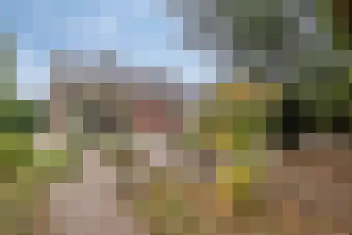 Blauwe Hof 7703 Wijchen thumbnail 26