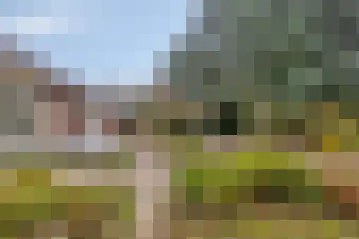 Blauwe Hof 7703 Wijchen thumbnail 27