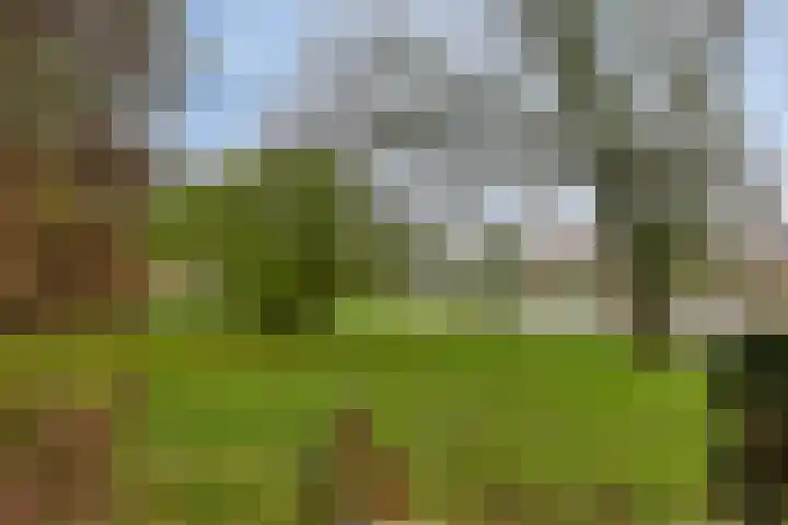Blauwe Hof 7703 Wijchen thumbnail 30