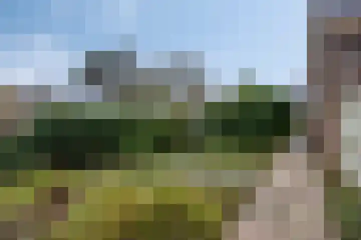 Blauwe Hof 7703 Wijchen thumbnail 31
