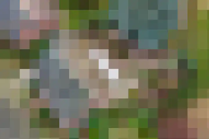 Blauwe Hof 7703 Wijchen thumbnail 34