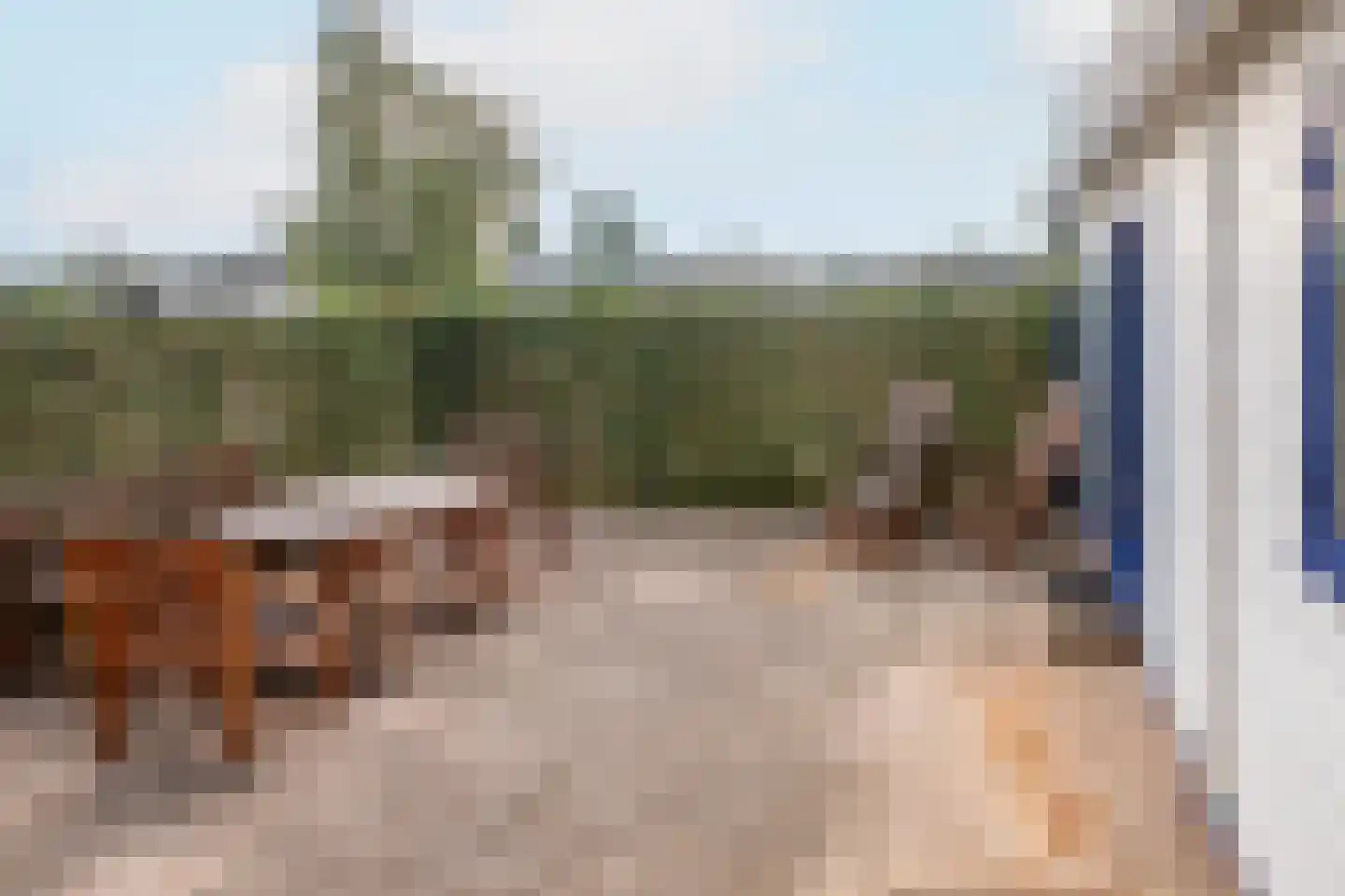 Blauwe Kampseweg 2 6 Zoelen thumbnail 12