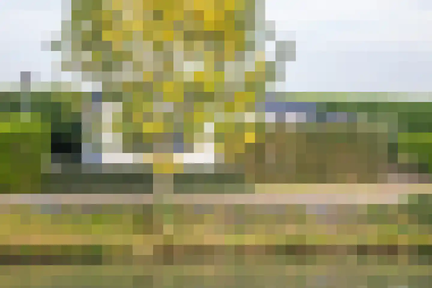 Blauwe Kampseweg 2 6 Zoelen thumbnail 13