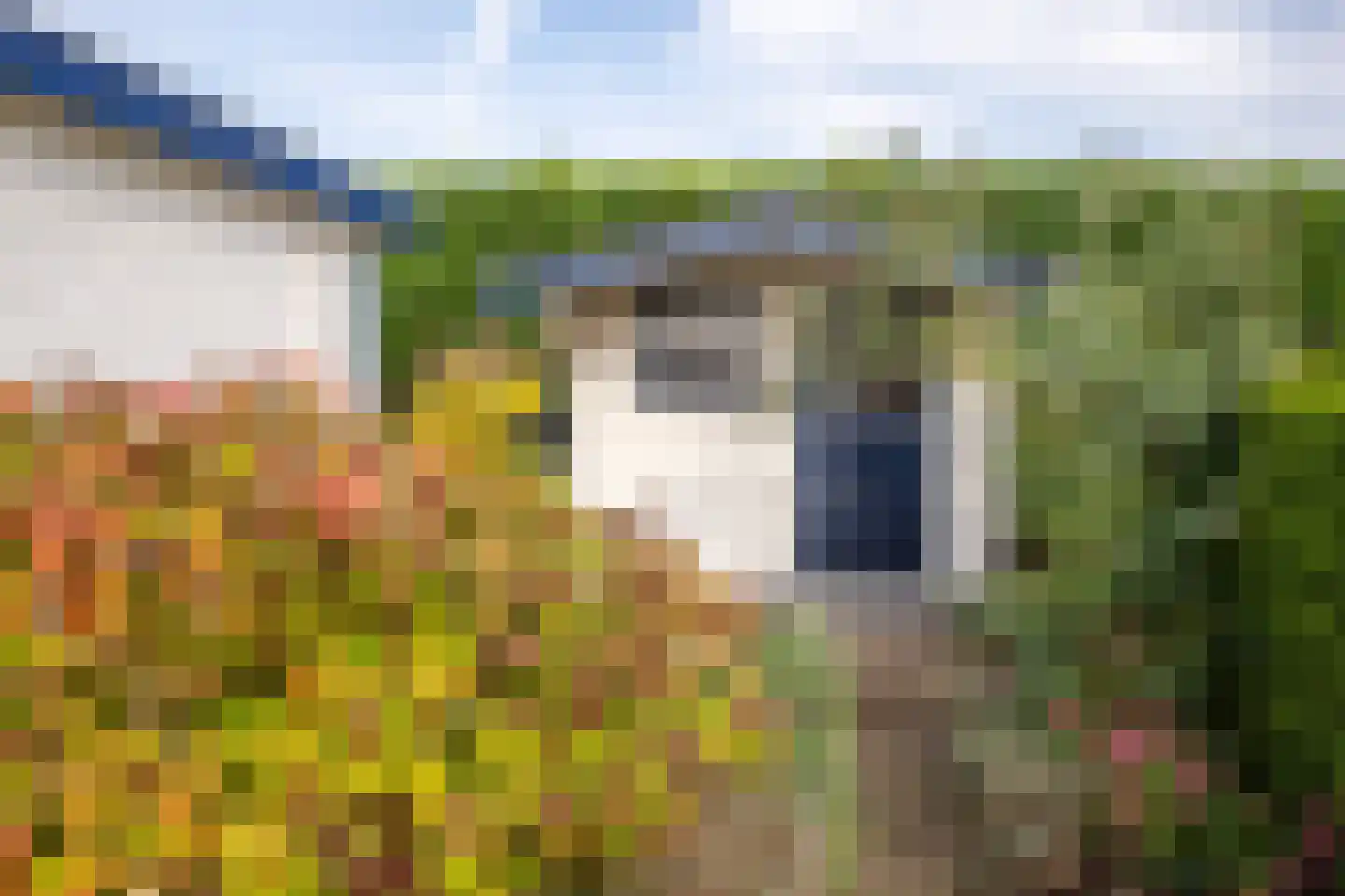 Blauwe Kampseweg 2 6 Zoelen thumbnail 15
