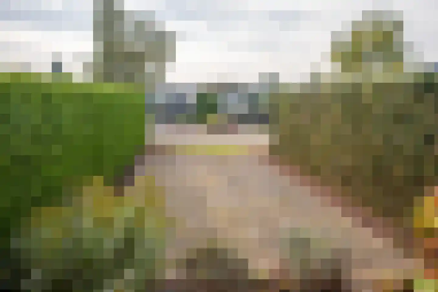 Blauwe Kampseweg 2 6 Zoelen thumbnail 22