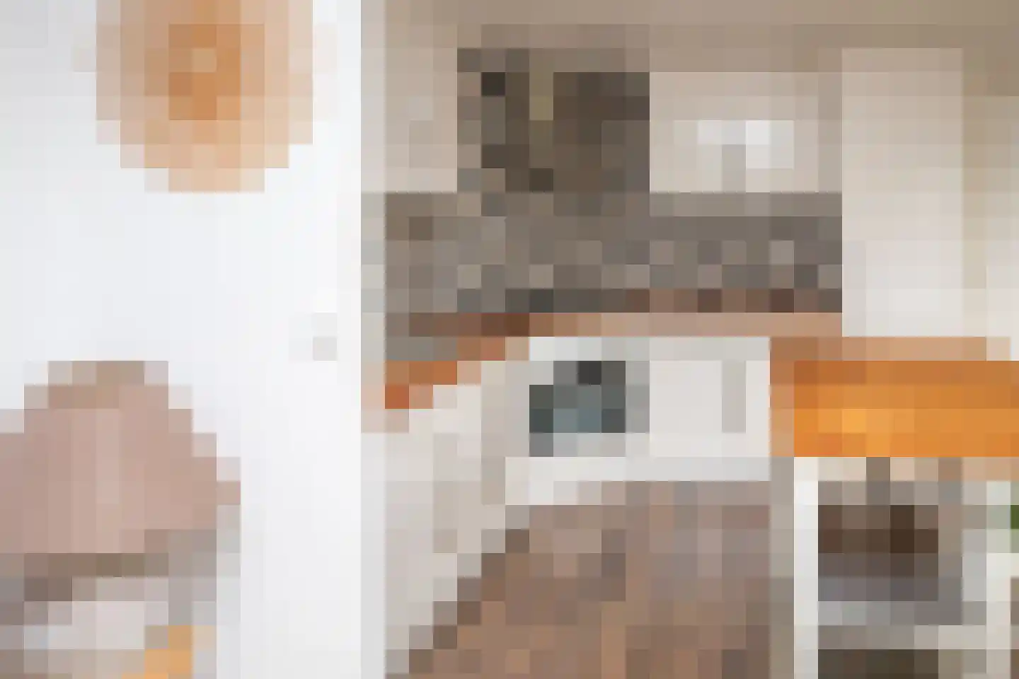 Blauwe Kampseweg 2 6 Zoelen thumbnail 31