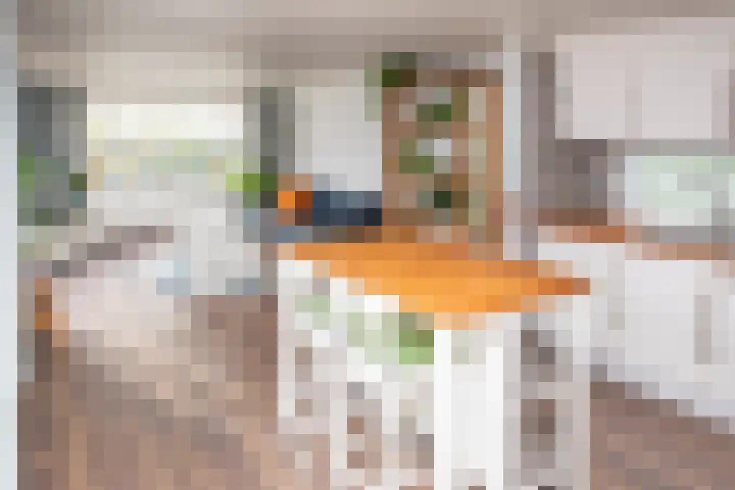 Blauwe Kampseweg 2 6 Zoelen thumbnail 35