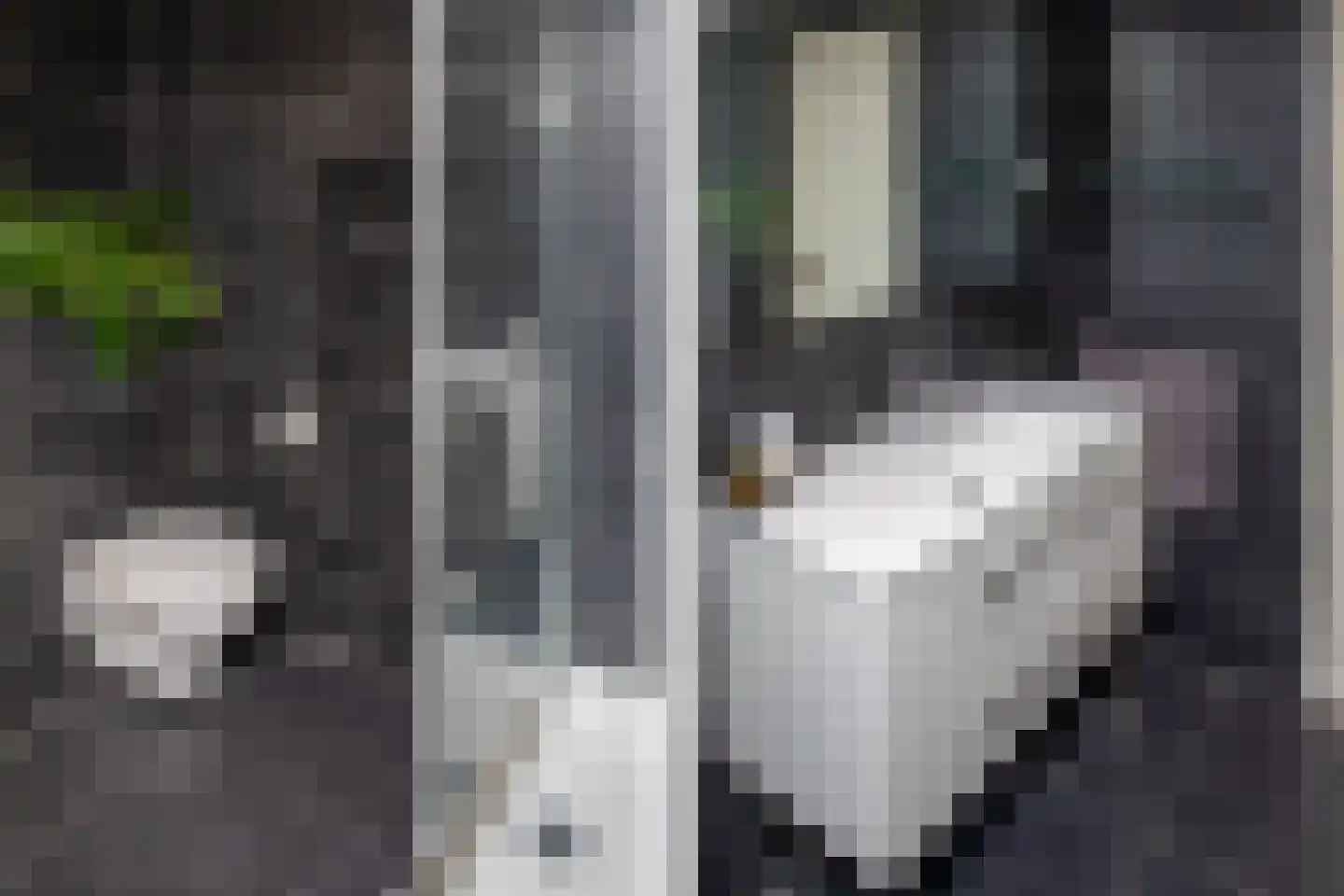 Blauwe Kampseweg 2 6 Zoelen thumbnail 45