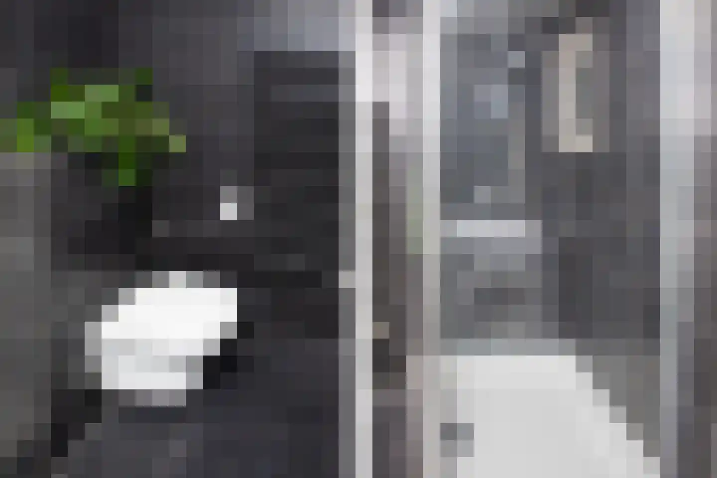 Blauwe Kampseweg 2 6 Zoelen thumbnail 46