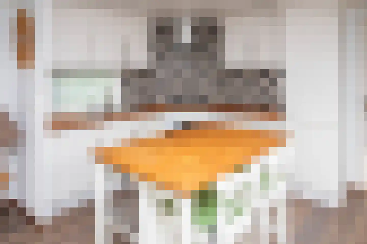 Blauwe Kampseweg 2 6 Zoelen thumbnail 5