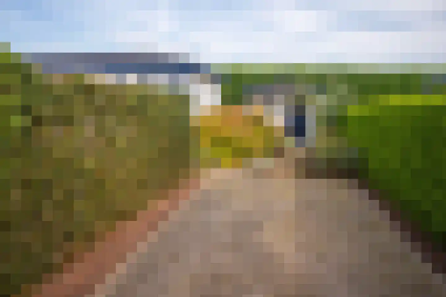Blauwe Kampseweg 2 6 Zoelen thumbnail 53