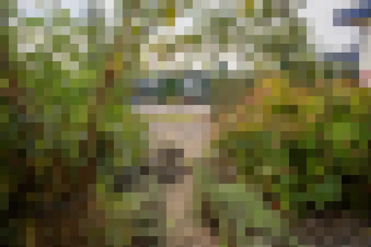 Blauwe Kampseweg 2 6 Zoelen thumbnail 54