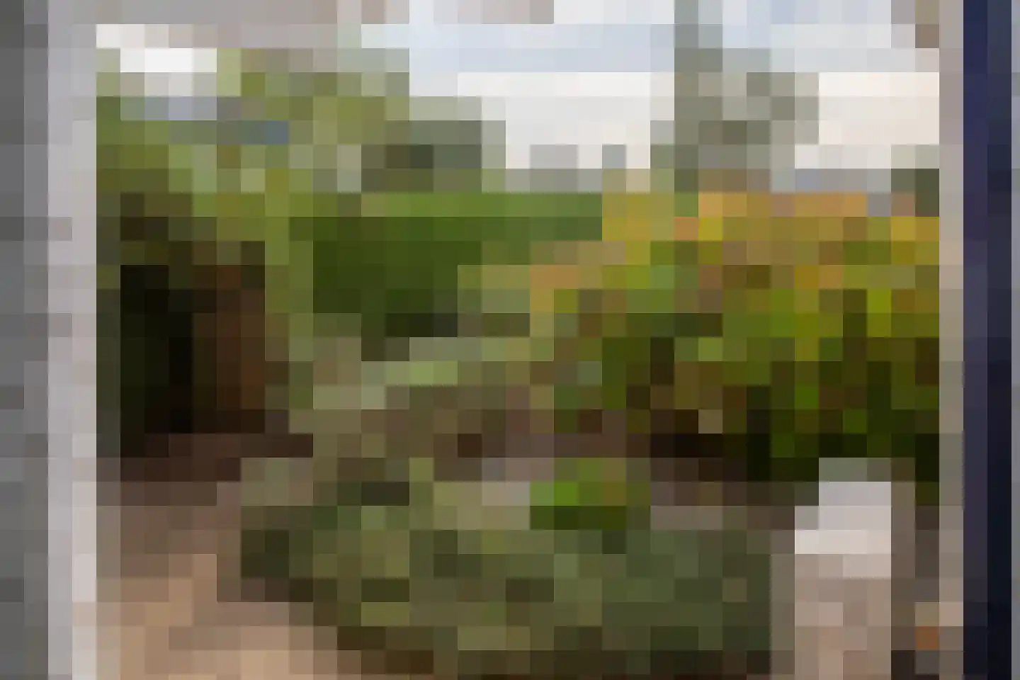 Blauwe Kampseweg 2 6 Zoelen thumbnail 57