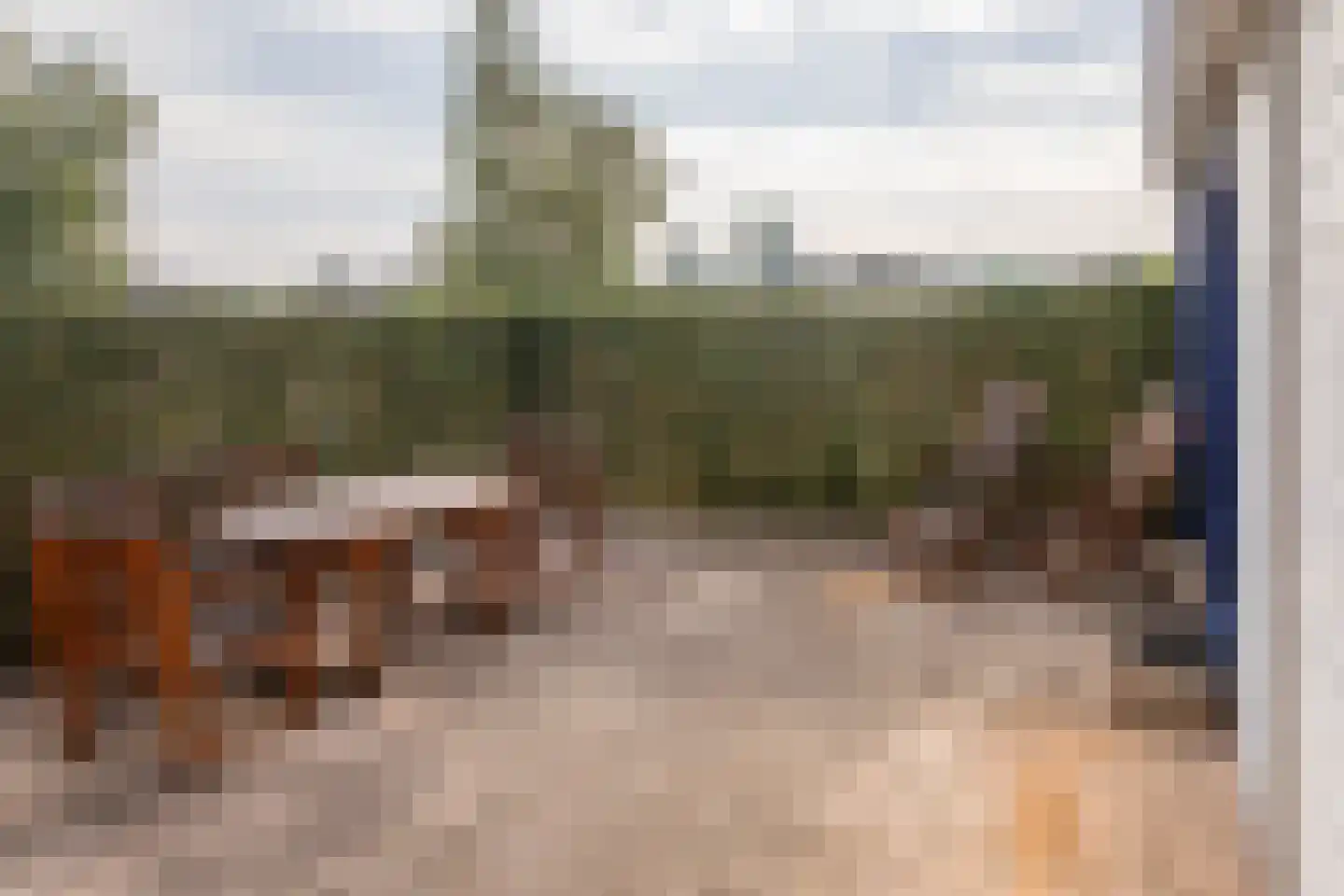 Blauwe Kampseweg 2 6 Zoelen thumbnail 61