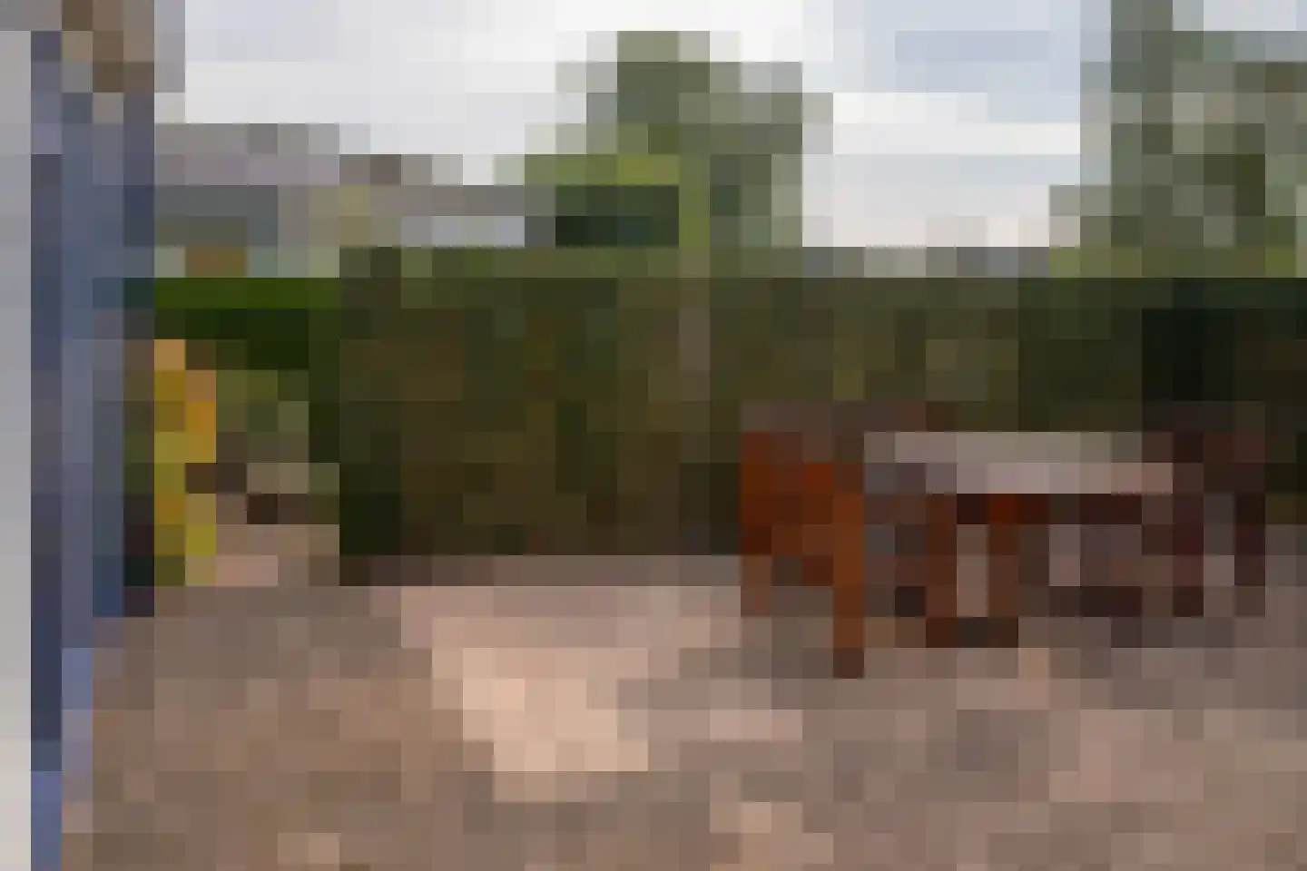 Blauwe Kampseweg 2 6 Zoelen thumbnail 62