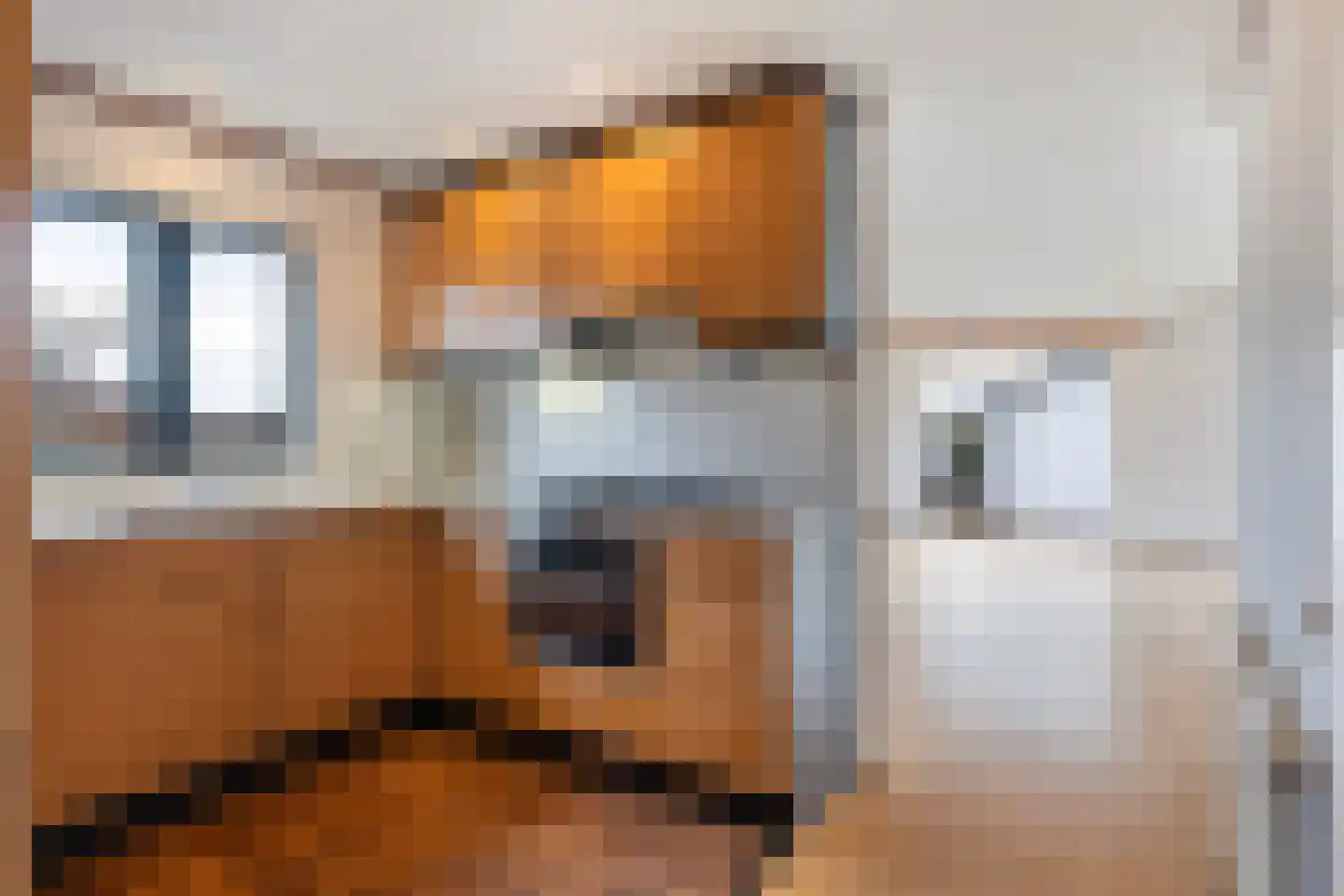 Blauwe Kampseweg 2 66 Zoelen thumbnail 10