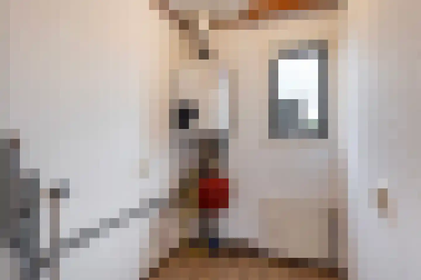 Blauwe Kampseweg 2 66 Zoelen thumbnail 18