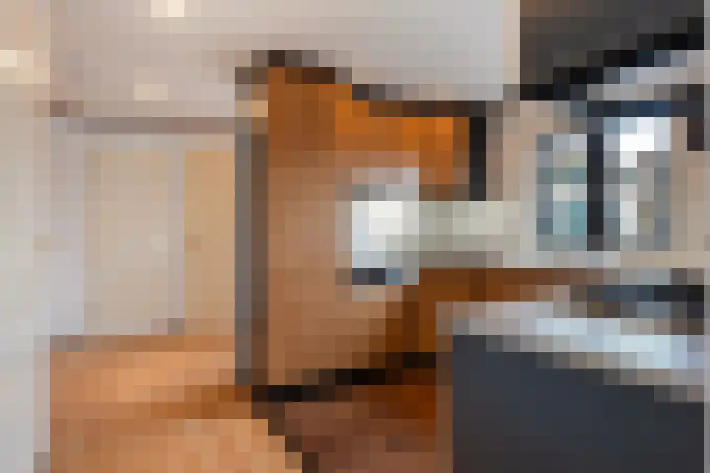Blauwe Kampseweg 2 66 Zoelen thumbnail 8