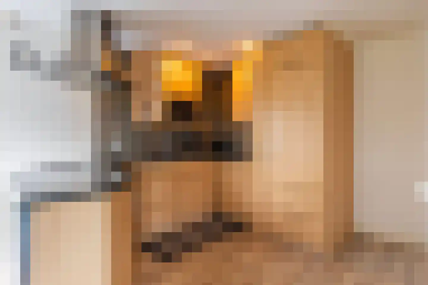 Blauwe Kampseweg 2 8 Zoelen thumbnail 10