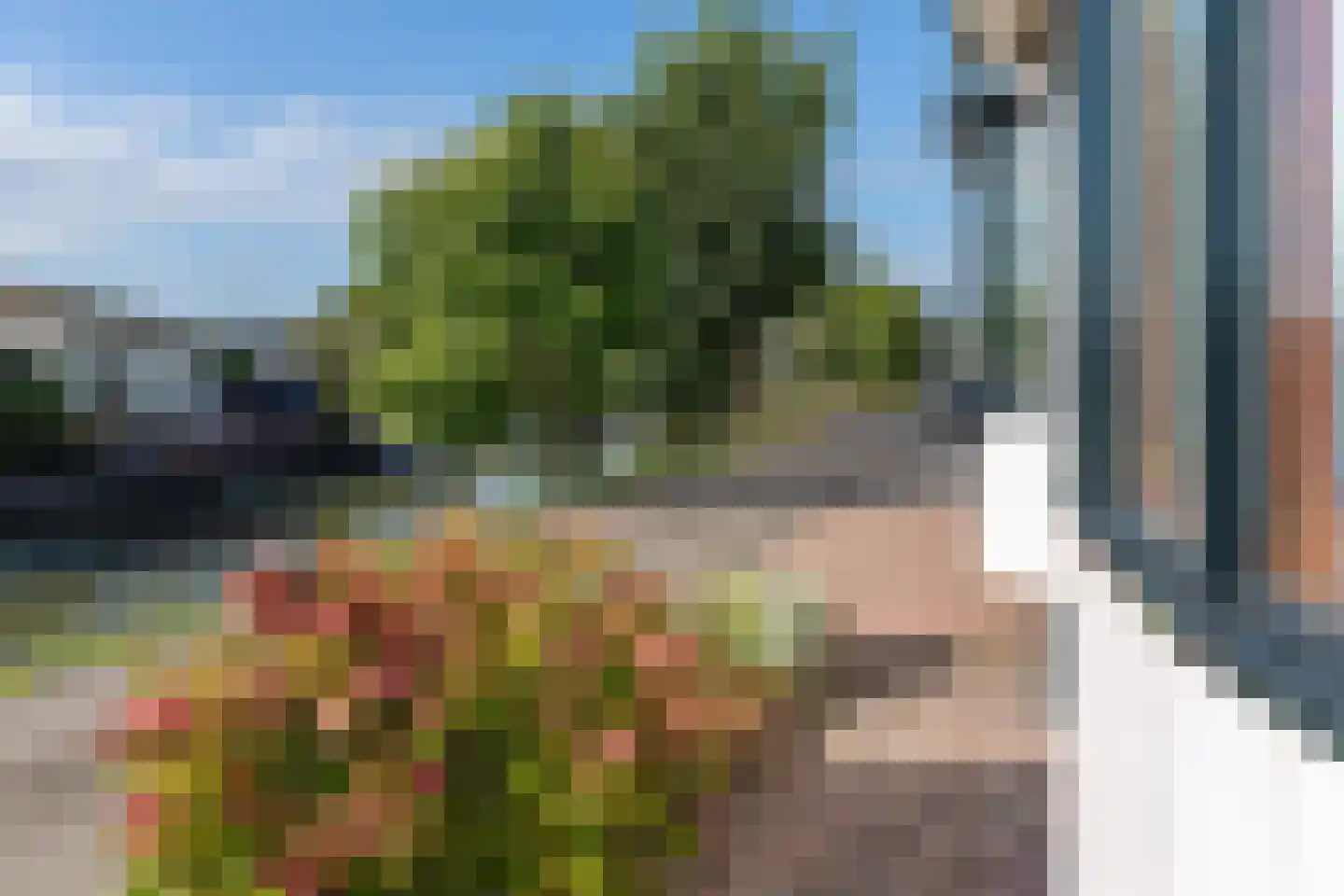 Blauwe Kampseweg 2 9 Zoelen thumbnail 24