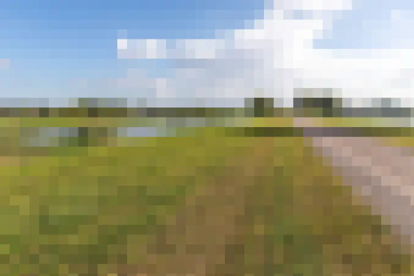 Blauwe Kampseweg 2 9 Zoelen thumbnail 58