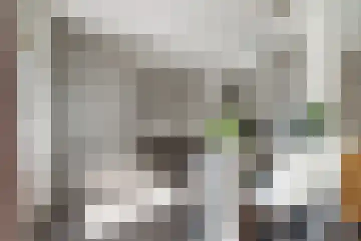Blauwe Kei 183 Breda thumbnail 11