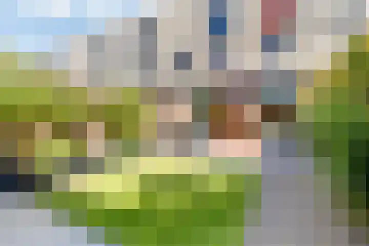 Blauwe Kei 198 Breda thumbnail 53