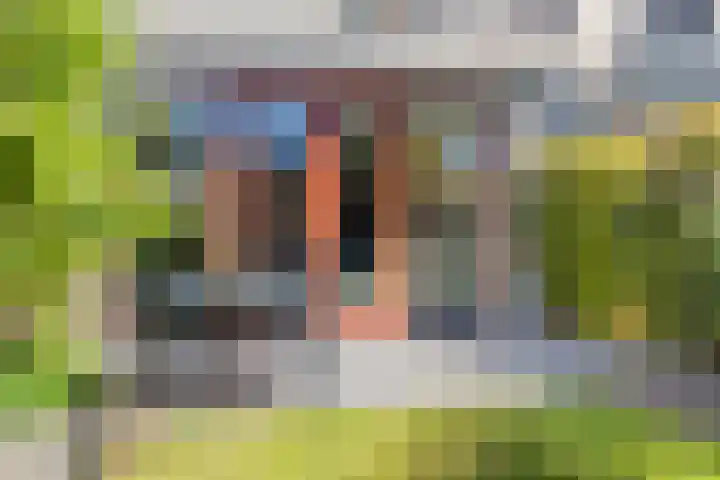 Blauwe Kei 198 Breda thumbnail 55