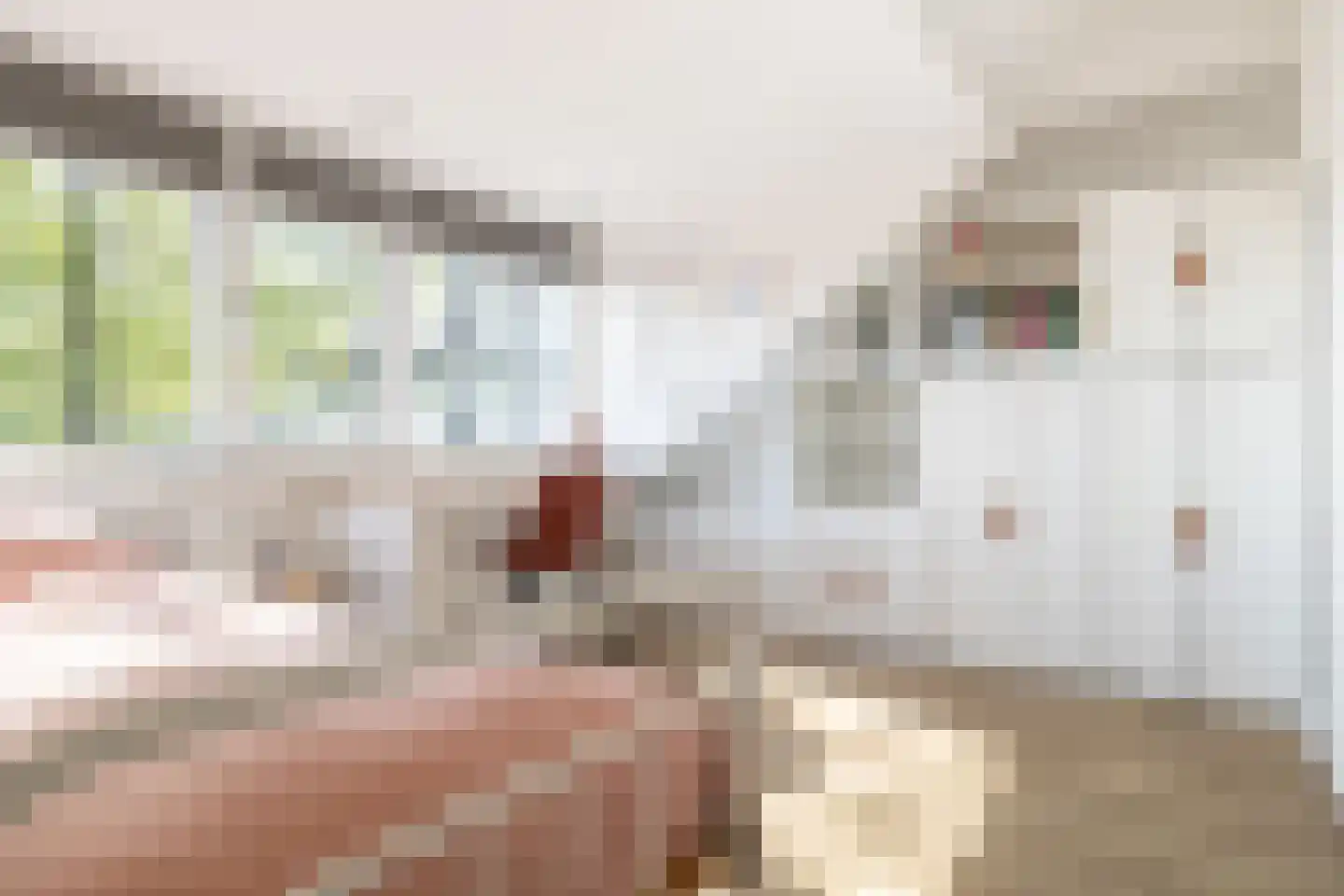 Blauwe Kei 236 Breda thumbnail 38