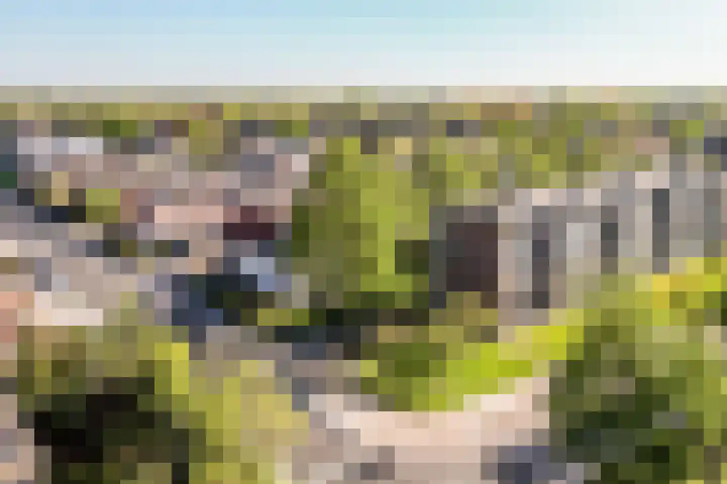 Blauwe Kei 236 Breda thumbnail 46