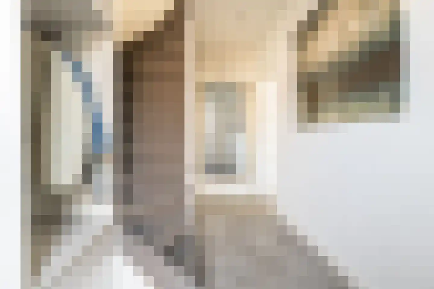 Blauwe Kei 236 Breda thumbnail 8