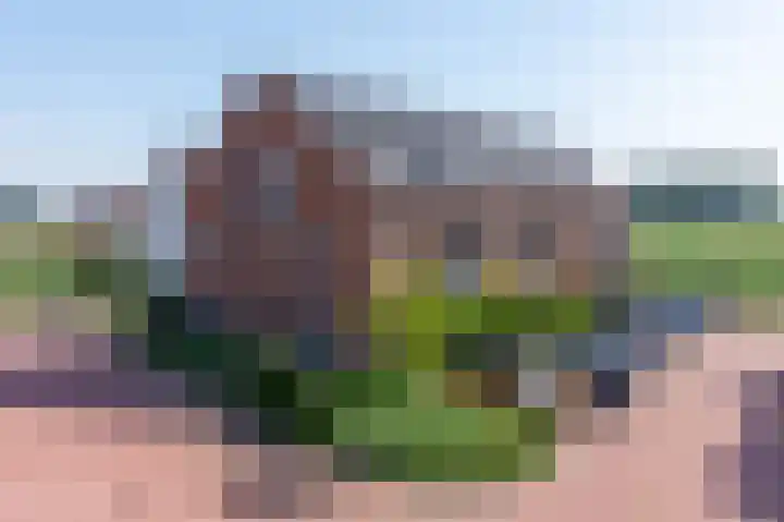 Blauwe Klok 31 De Rijp thumbnail 45