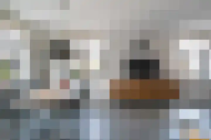 Blauwe Klok 31 De Rijp thumbnail 5