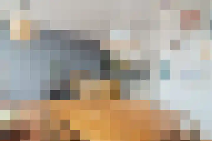 Blauwe Klok 39 De Rijp thumbnail 13