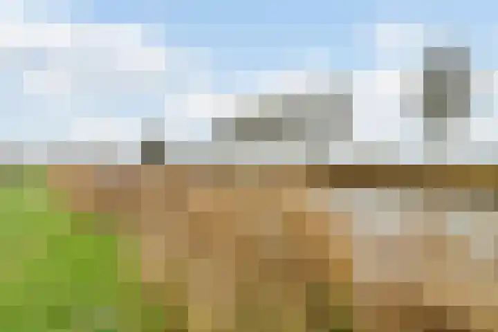 Blauwe Klok 39 De Rijp thumbnail 28