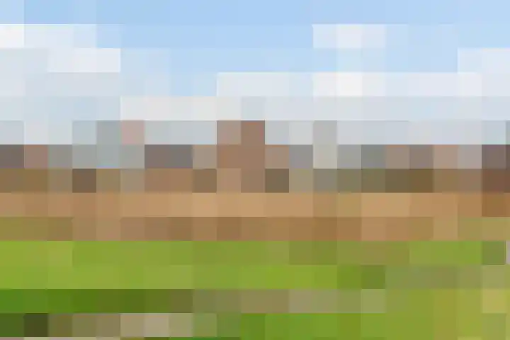 Blauwe Klok 39 De Rijp thumbnail 29
