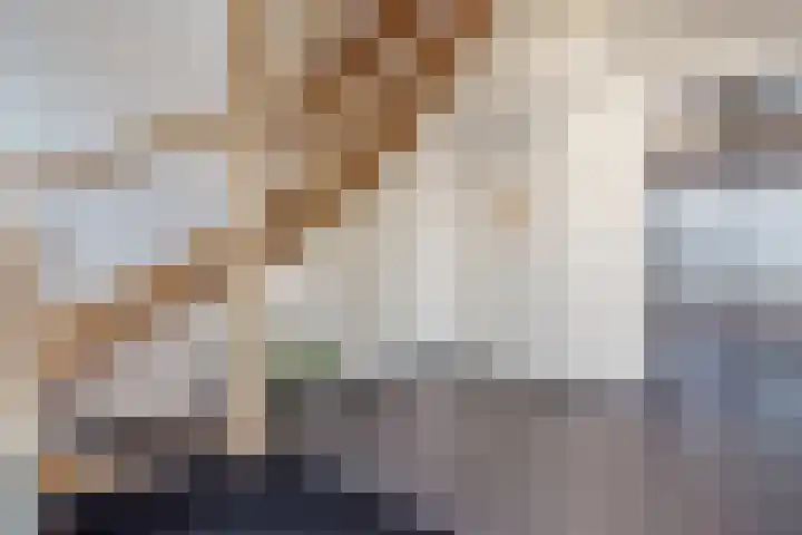 Blauwe Klok 39 De Rijp thumbnail 4
