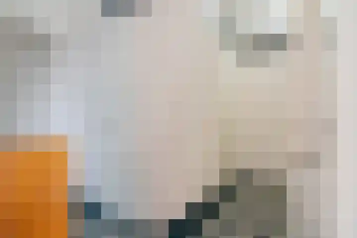 Blauwe Klok 39 De Rijp thumbnail 6