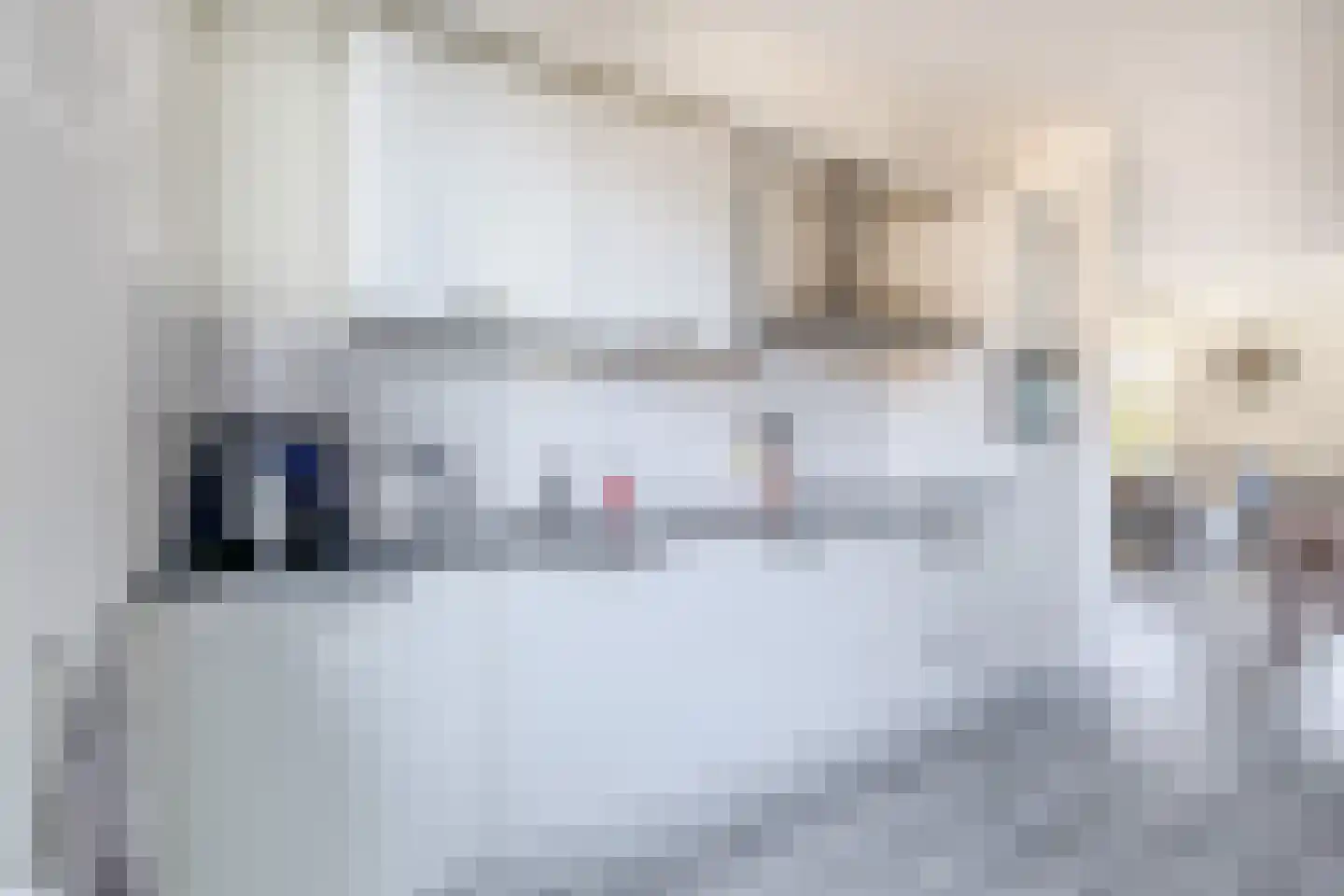 Blauwe Oven 14 Belfeld thumbnail 5
