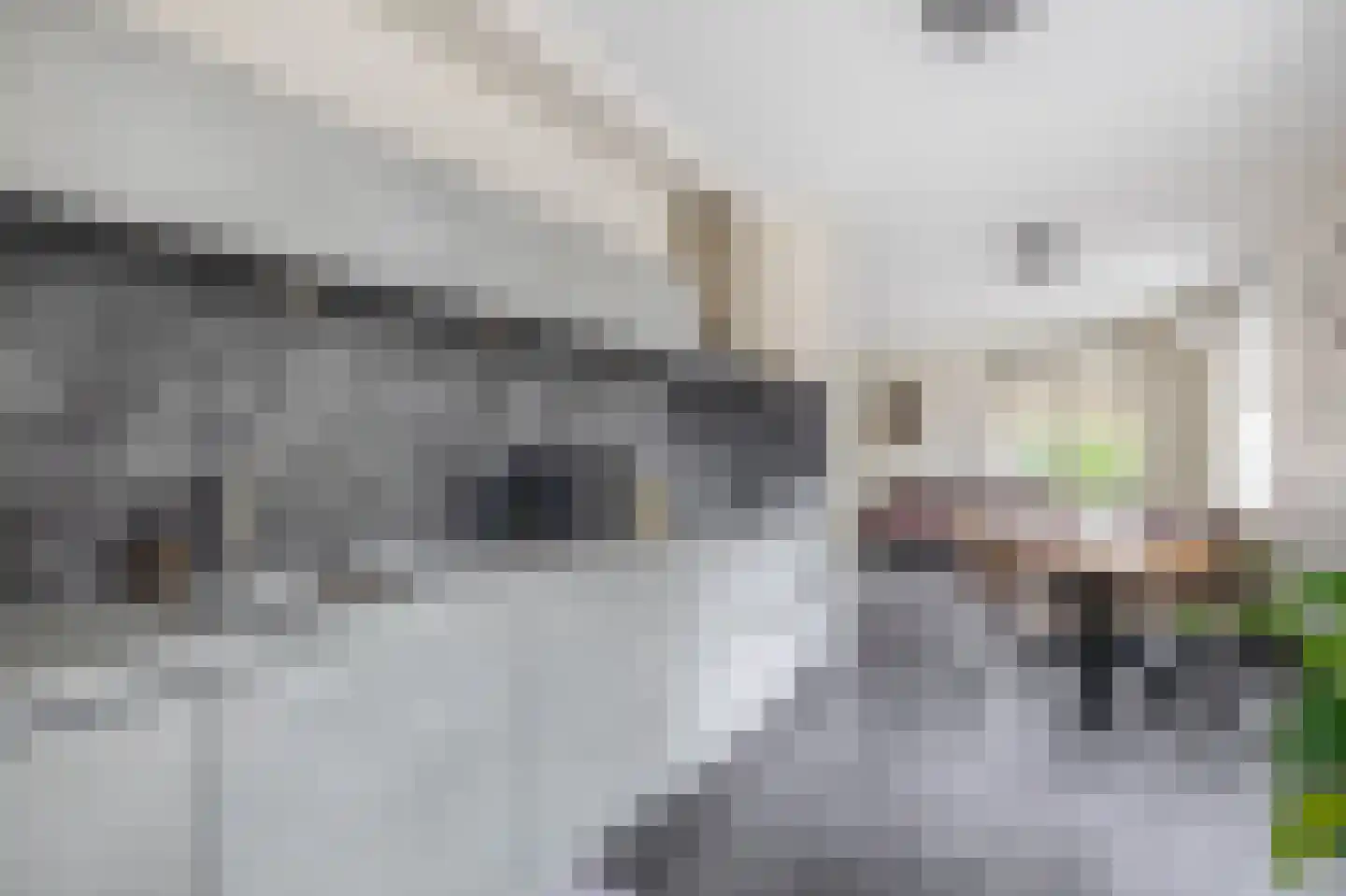 Blauwe Oven 2 Belfeld thumbnail 10