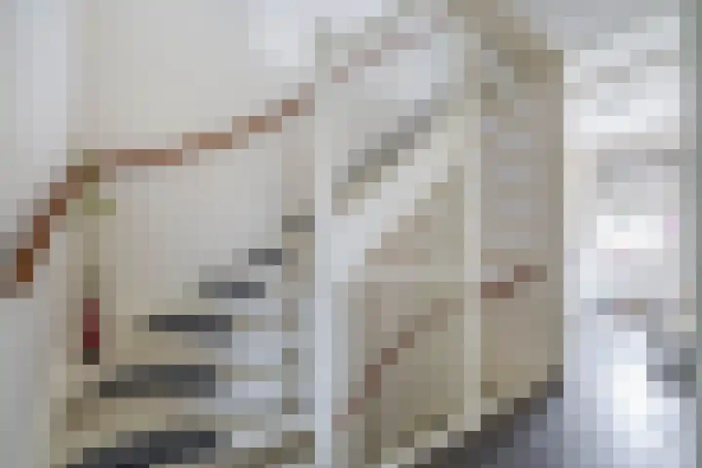 Blauwe Oven 2 Belfeld thumbnail 23