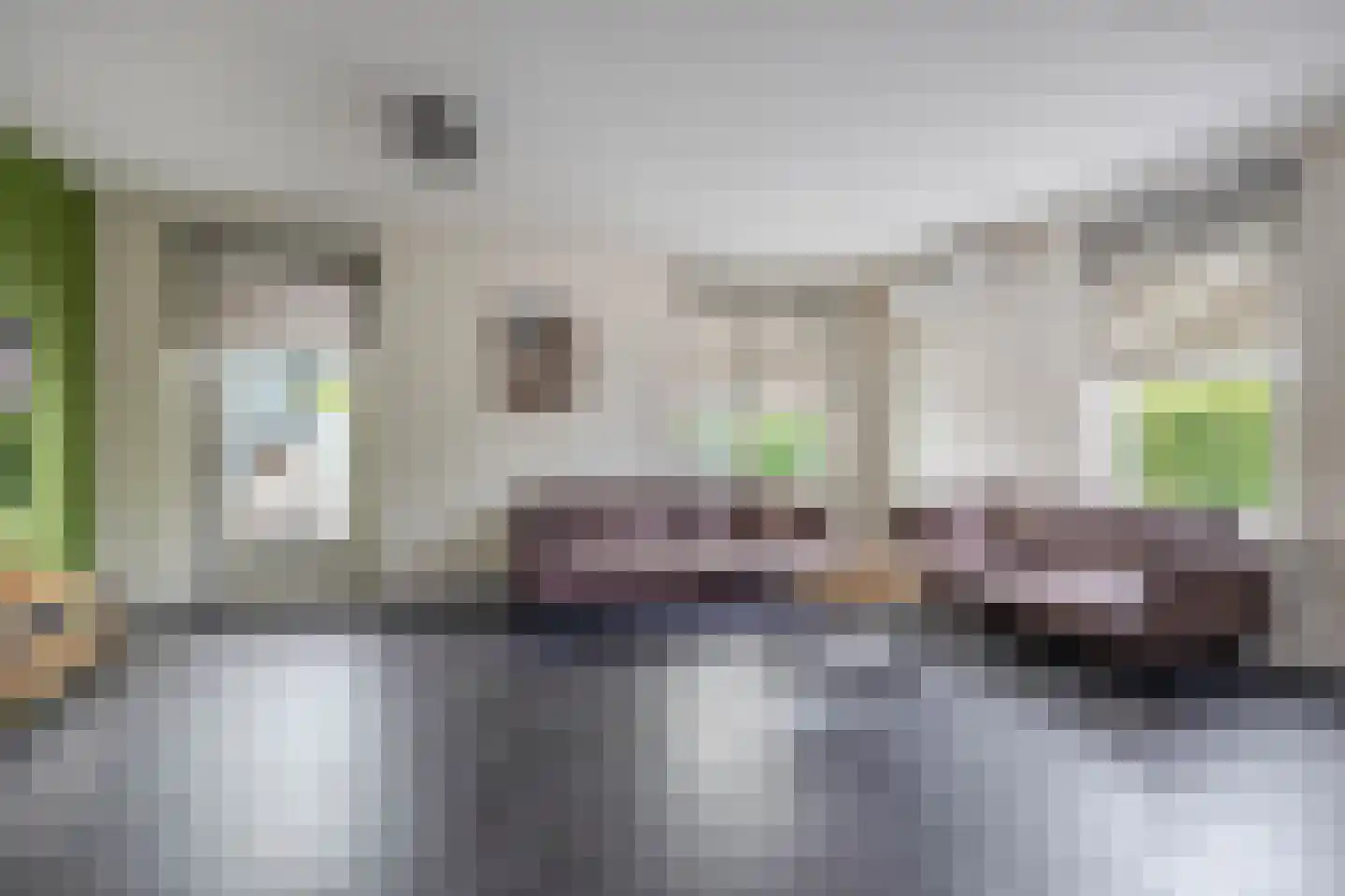 Blauwe Oven 2 Belfeld thumbnail 5